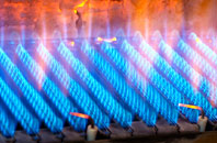 Waterloo Park gas fired boilers